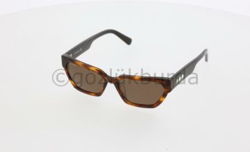 Swarovskı SK0348 52E Kadın Güneş Gözlüğü