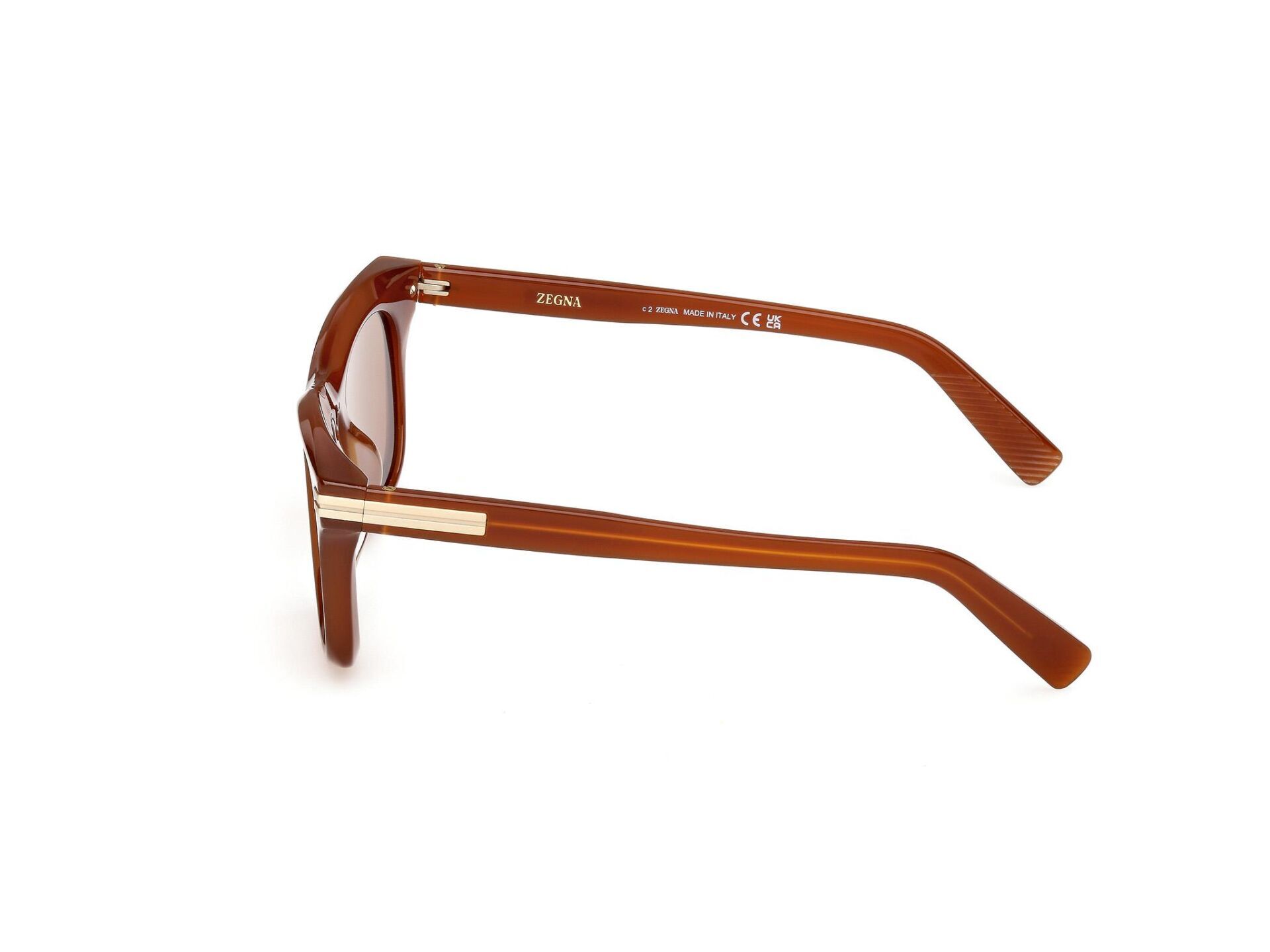 Zegna EZ0270 45E Erkek Güneş Gözlüğü