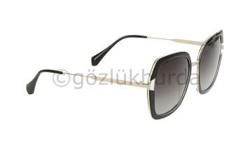 Hawk HW1965 02 Kadın Güneş Gözlüğü