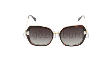Hawk HW1965 03 Kadın Güneş Gözlüğü